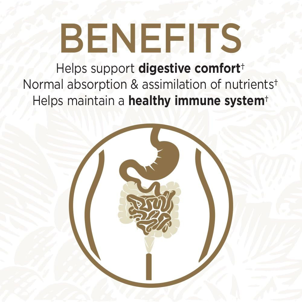 Probiotics for Digestive Health Balance, Primal Defense Ultra Ultimate Formula, 15 Billion CFU and 13 Strains plus Hsos, Vegetarian and Gluten Free, 90 Capsules